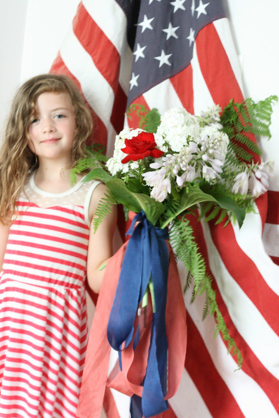 Happy 4th of July! - The Lesser Bear