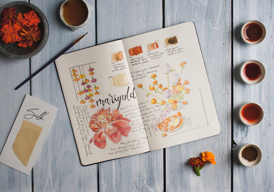 Natural Watercolor Paints using Marigolds - The Lesser Bear