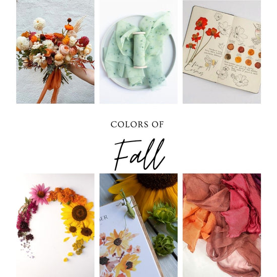 This Week in Ribbon Sept. 3rd - Fall colors and flowers - The Lesser Bear