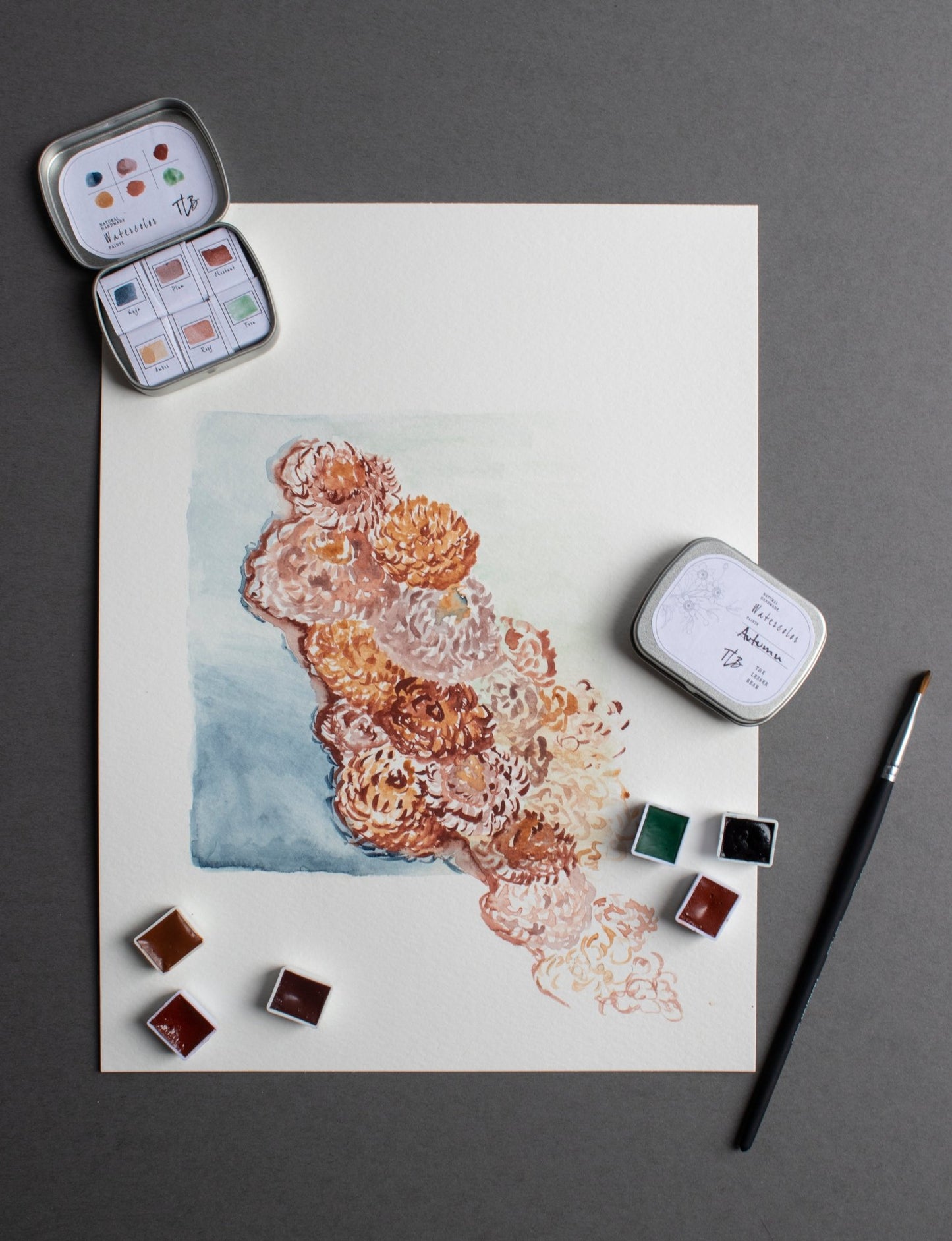 Autumn Collection - Watercolor Paint Set - The Lesser Bear