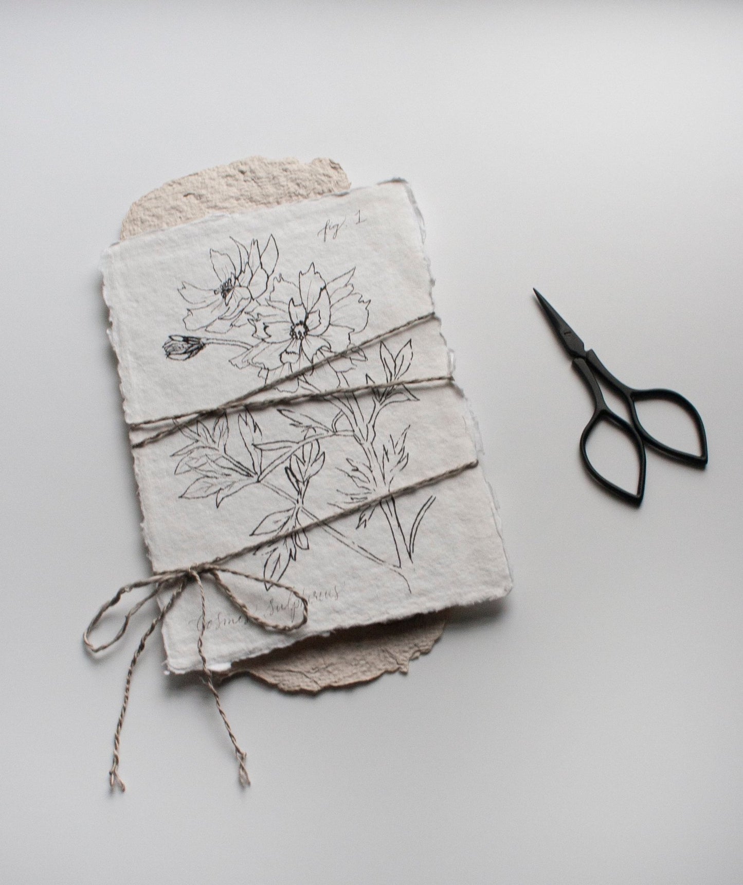 Ebony Silk Twine - The Lesser Bear