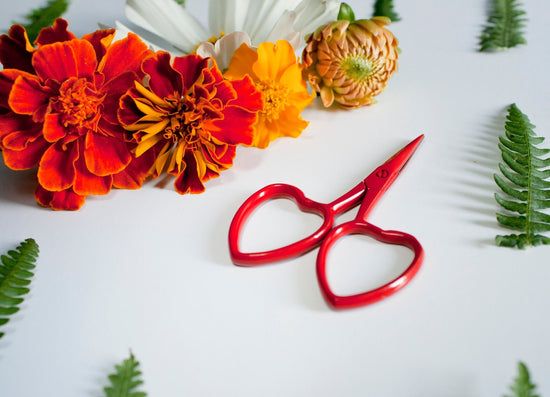 Heart Handled Mini Scissors - The Lesser Bear